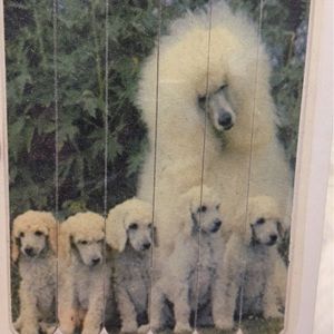 New Vintage Poodle Dog Puppies 6 Pc Nail Files